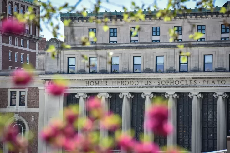 Butler Library seen through the branches of a blooming tree